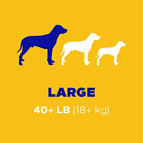 PEDIGREE DENTASTIX Large Dog Dental Care Treats Original, Beef & Fresh Variety Pack, 2.73 lb.Pack (51 Treats)-UPStoxs