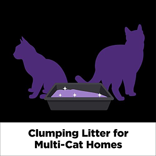 Arm & Hammer Slide Platinum Easy Clean-Up Clumping Cat Litter, Multi-Cat Litter, 27.5 Pounds, Online Exclusive Formula-UPStoxs