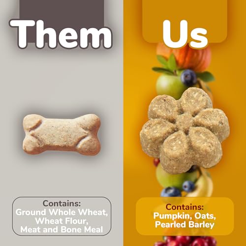 Fruitables Baked Dog Treats Pumpkin & Banana Flavor 7 Oz-UPStoxs