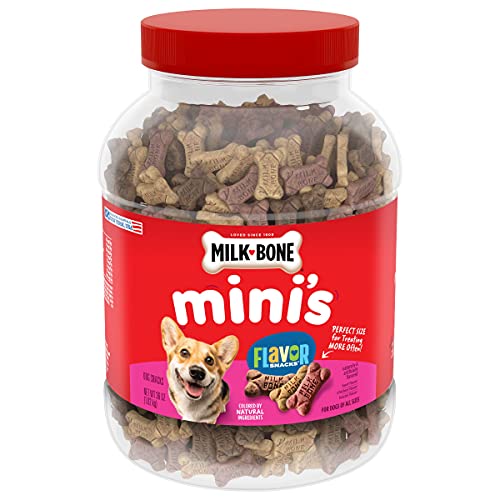 Milk-Bone Mini's Flavor Snacks Dog Treats, 36 Ounce Crunchy Texture Helps Reduce Tartar-UPStoxs