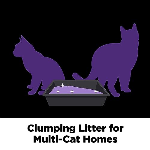 Arm Hammer SLIDE Platinum Multi-Cat Easy Clean-Up Clumping Cat Litter, 14 Days of Odor Control 18 lb-UPStoxs