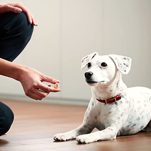 Milk-Bone MaroSnacks Dog Treats, Beef, 40 Ounce with Real Bone Marrow and Calcium-UPStoxs