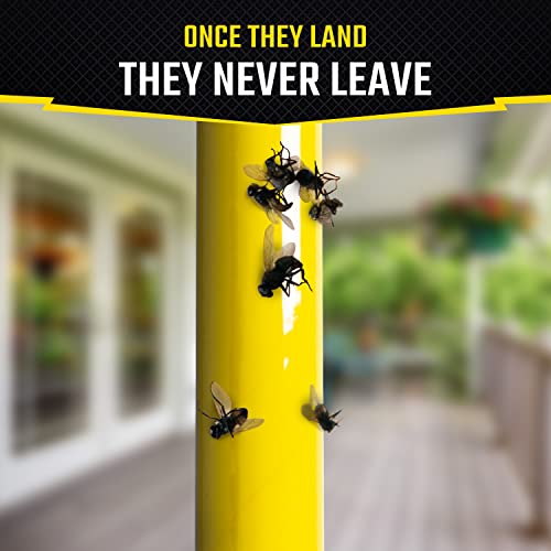 Black Flag Fly Stick Insect Trap, 1 ct-UPStoxs