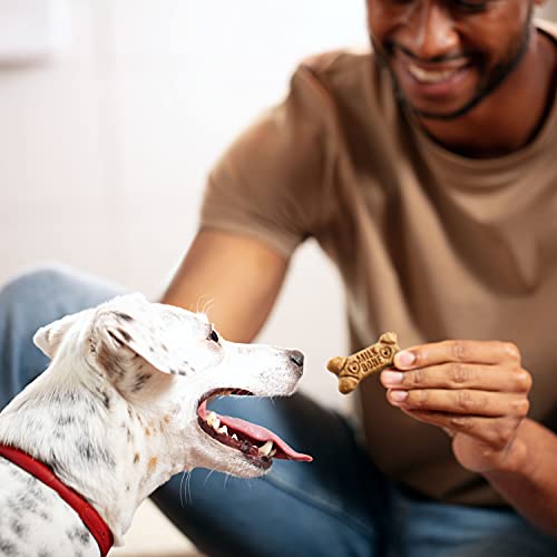 Milk-Bone Flavor Snacks Dog Treats, Small Biscuits, 7 Pound Crunchy Texture Helps Reduce Tartar-UPStoxs