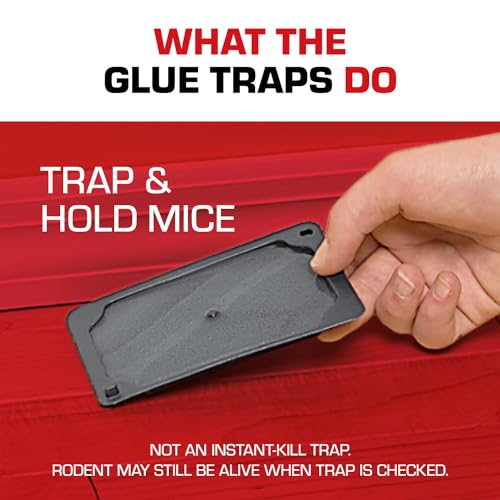 Tomcat Glue Traps Mouse Size with Eugenol for Enhanced Stickiness, Contains 6 Mouse Size Glue Traps - Captures Mice and Other Household Pests - Professional Strength, Pesticide-Free and Ready-to-Use-UPStoxs