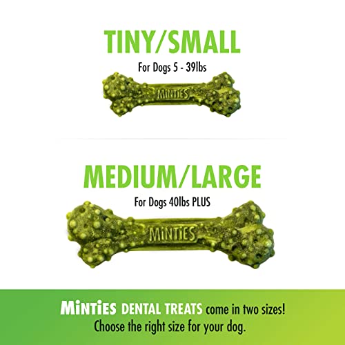 Minties Dental Chews for Dogs, 80 Count, Vet-Recommended Mint-Flavored Dental Treats for Tiny/Small Dogs 5-24 lbs, Dental Bones Clean Teeth, Fight Bad Breath, and Removes Plaque and Tartar-UPStoxs