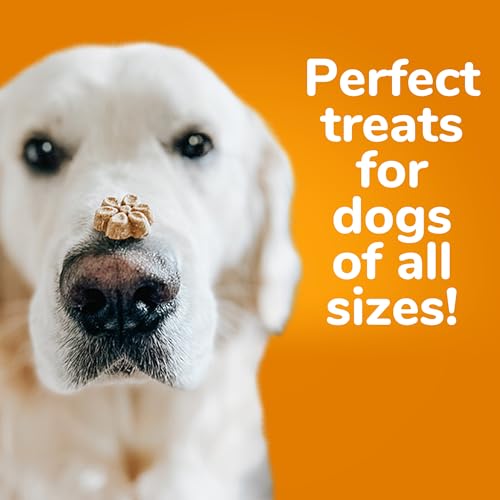 Fruitables Baked Dog Treats Pumpkin & Banana Flavor 7 Oz-UPStoxs