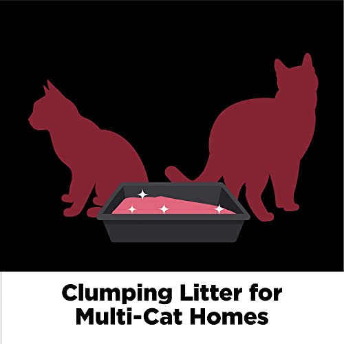 ARM & HAMMER Clump & Seal Platinum Cat Litter, Multi-Cat, 40 lbs (Pack of 1)-UPStoxs