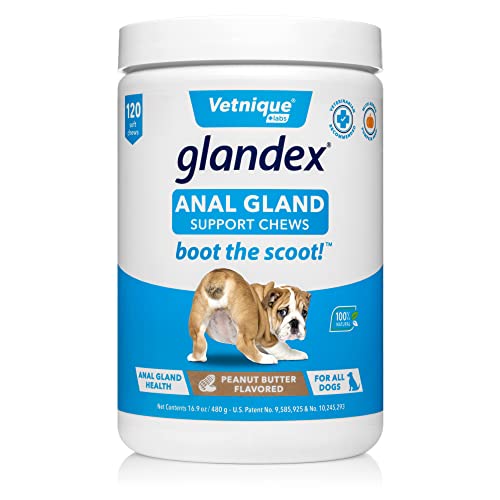 Glandex Anal Gland Soft Chew Treats with Pumpkin for Dogs Digestive Enzymes, Probiotics Fiber Supplement for Dogs Boot The Scoot (Peanut Butter Chews, 120ct)-UPStoxs