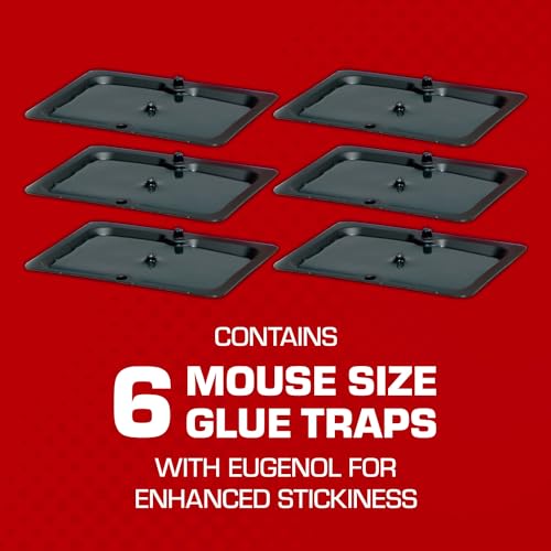 Tomcat Glue Traps Mouse Size with Eugenol for Enhanced Stickiness, Contains 6 Mouse Size Glue Traps - Captures Mice and Other Household Pests - Professional Strength, Pesticide-Free and Ready-to-Use-UPStoxs