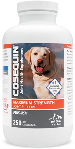 Nutramax Laboratories Cosequin Maximum Strength Joint Health Supplement for Dogs - With Glucosamine, Chondroitin, and MSM, 250 Chewable Tablets-UPStoxs