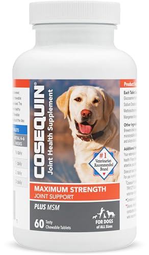 Nutramax Laboratories Cosequin Maximum Strength Joint Health Supplement for Dogs - With Glucosamine, Chondroitin, and MSM, 60 Chewable Tablets-UPStoxs