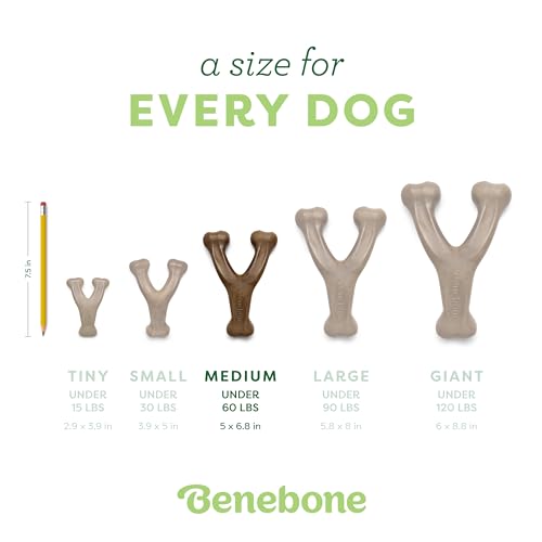 Benebone Wishbone Durable Dog Chew Toy for Aggressive Chewers, Real Bacon, Made in USA, Medium-UPStoxs