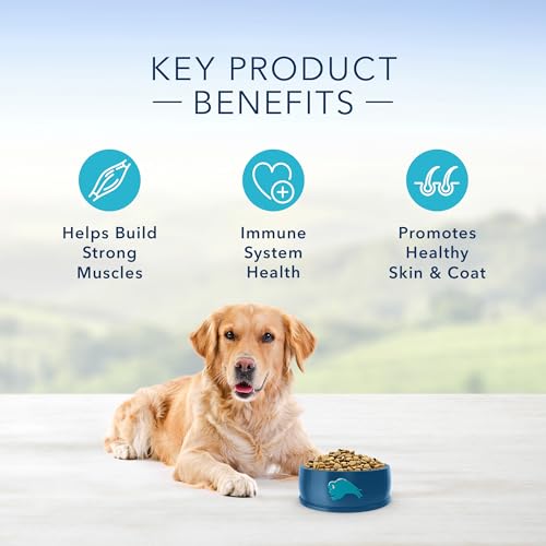 Blue Buffalo Life Protection Formula Adult Dry Dog Food, Helps Build and Maintain Strong Muscles, Made with Natural Ingredients, Chicken & Brown Rice Recipe, 30-lb. Bag-UPStoxs