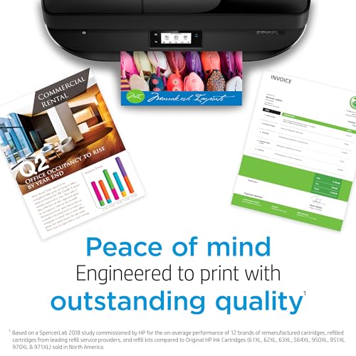 HP 67XL Black High-yield Ink Cartridge | Works with HP DeskJet 1255, 2700, 4100 Series, HP ENVY 6000, 6400 Series | Eligible for Instant Ink | One Size | 3YM57AN-UPStoxs