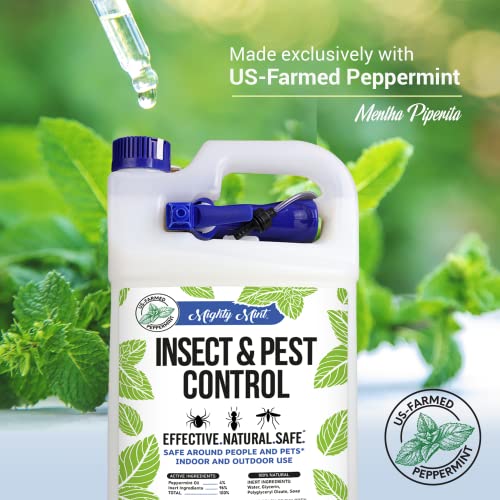 Mighty Mint Gallon (128 oz) Insect and Pest Control Peppermint Oil - Natural Spray for Spiders, Ants, and More-UPStoxs