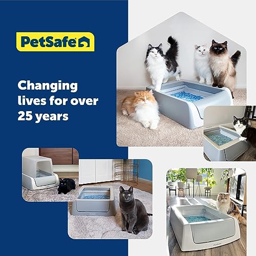 PetSafe ScoopFree Crystal Cat Litter Tray Refills – Fresh Scent, 6-Pack – Disposable Tray – Includes Leak Protection & Low Tracking Litter – Absorbs Odors on Contact-UPStoxs