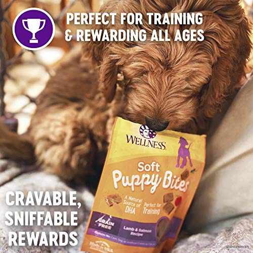 Wellness Soft Puppy Bites Healthy Grain-Free Treats for Training, Dog Treats with Real Meat and DHA, No Artificial Flavors (Lamb & Salmon, 8-Ounce Bag)-UPStoxs