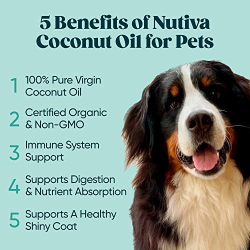 Nutiva Organic Coconut Oil 15 fl oz, Cold-Pressed, Fresh Flavor for Cooking, Natural Hair, Skin, Massage Oil and, Non-GMO, USDA Organic, Unrefined Extra Virgin Coconut Oil (Aceite de Coco)-UPStoxs