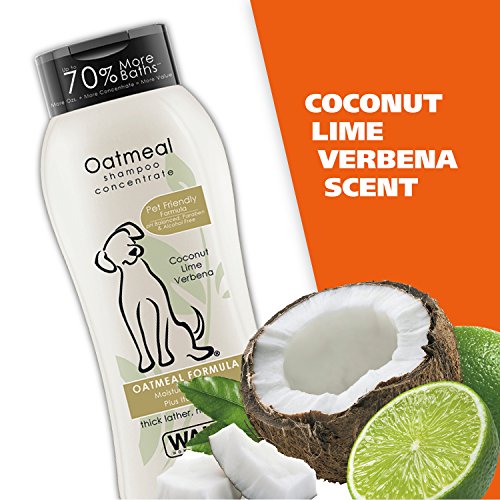 Wahl USA Dry Skin & Itch Relief Pet Shampoo for Dogs – Oatmeal Formula with Coconut Lime Verbena & Pet Friendly Formula, 24 Oz - Model 820004A-UPStoxs