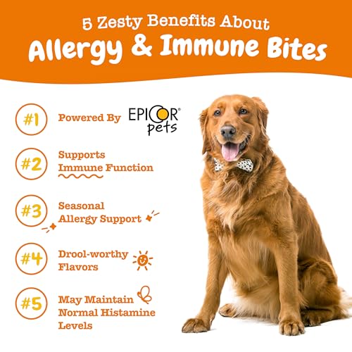 Zesty Paws Dog Allergy Relief - Anti Itch Supplement - Omega 3 Probiotics for Dogs - Digestive Health - Soft Chews for Skin & Seasonal Allergies - with Epicor Pets - Lamb - 90 Count-UPStoxs