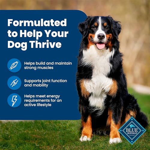 Blue Buffalo Life Protection Formula Adult Dry Dog Food, Helps Build and Maintain Strong Muscles, Made with Natural Ingredients, Chicken & Brown Rice Recipe, 34-lb. Bag-UPStoxs