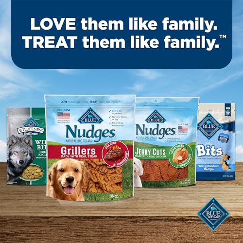 Blue Buffalo Nudges Grillers Natural Dog Treats with Real USA Beef, Made in the USA, Steak, 36-oz. Bag-UPStoxs