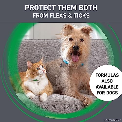 Frontline Plus Flea and Tick Treatment for Cats Over 1.5 lbs. 3 Treatments-UPStoxs