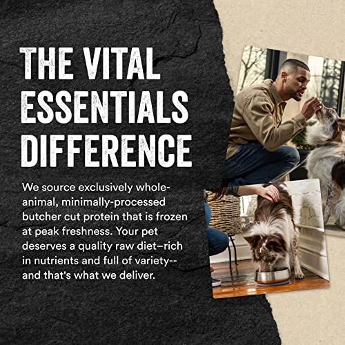 Vital Essentials Freeze Dried Raw Single Ingredient Dog Treats, Beef Liver, 2.1 oz-UPStoxs