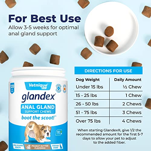 Glandex Anal Gland Soft Chew Treats with Pumpkin for Dogs Digestive Enzymes, Probiotics Fiber Supplement for Dogs Boot The Scoot (Peanut Butter Chews, 120ct)-UPStoxs