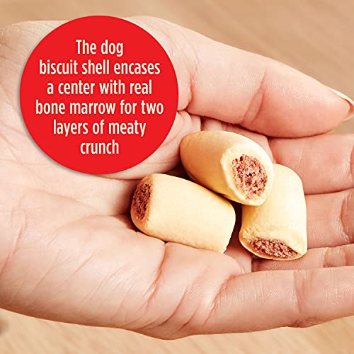 Milk-Bone MaroSnacks Dog Treats, Beef, 40 Ounce with Real Bone Marrow and Calcium-UPStoxs