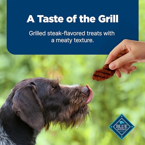 Blue Buffalo Nudges Grillers Natural Dog Treats with Real USA Beef, Made in the USA, Steak, 36-oz. Bag-UPStoxs