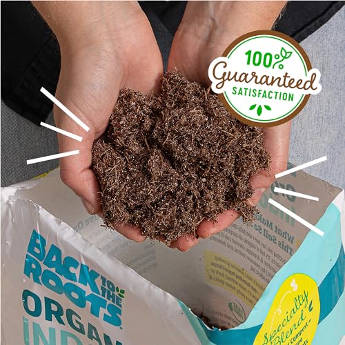 Back to the Roots 100% Organic Indoor Potting Mix (6 Quart), Promotes Healthy Houseplant Growth, Made in The USA-UPStoxs