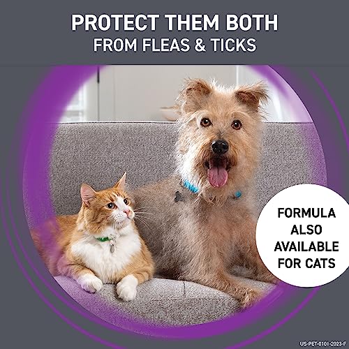 Frontline Plus Flea and Tick Treatment for Large Dogs Up to 45 to 88 lbs., 3 Treatments-UPStoxs