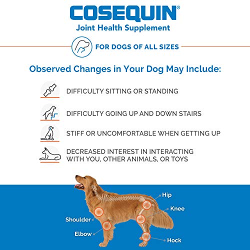 Nutramax Laboratories Cosequin Maximum Strength Joint Health Supplement for Dogs - With Glucosamine, Chondroitin, and MSM, 60 Chewable Tablets-UPStoxs