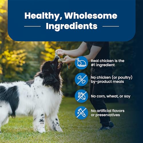 Blue Buffalo Life Protection Formula Adult Dry Dog Food, Helps Build and Maintain Strong Muscles, Made with Natural Ingredients, Chicken & Brown Rice Recipe, 34-lb. Bag-UPStoxs