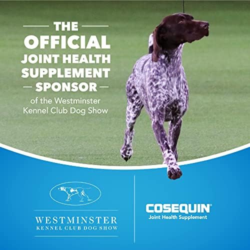 Nutramax Laboratories Cosequin Maximum Strength Joint Health Supplement for Dogs - With Glucosamine, Chondroitin, and MSM, 60 Chewable Tablets-UPStoxs