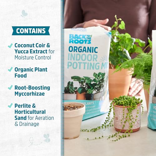 Back to the Roots 100% Organic Indoor Potting Mix (6 Quart), Promotes Healthy Houseplant Growth, Made in The USA-UPStoxs