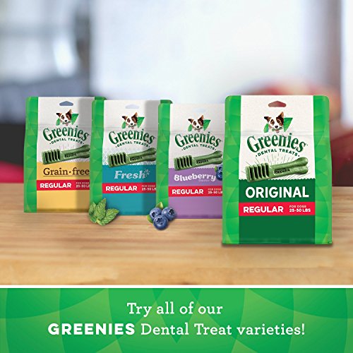 Greenies Original Large Natural Dental Care Dog Treats, 36 oz. Pack (24 Treats)-UPStoxs