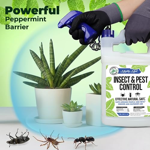 Mighty Mint Gallon (128 oz) Insect and Pest Control Peppermint Oil - Natural Spray for Spiders, Ants, and More-UPStoxs