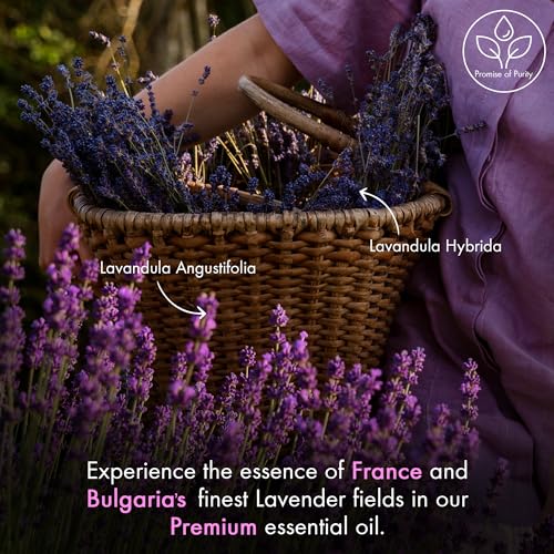 MAJESTIC PURE Lavender Essential Oil with Glass Dropper | 100% Pure and Natural Lavender Oil | Premium Grade Essential Oils for Diffusers, Skin, Aromatherapy, Massage | 4 Fl Oz-UPStoxs