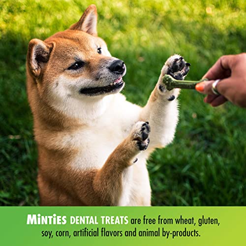 Minties Dental Chews for Dogs, 80 Count, Vet-Recommended Mint-Flavored Dental Treats for Tiny/Small Dogs 5-24 lbs, Dental Bones Clean Teeth, Fight Bad Breath, and Removes Plaque and Tartar-UPStoxs