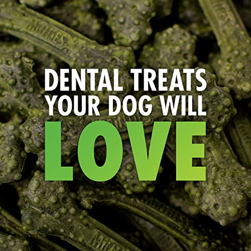 Minties Dental Chews for Dogs, 80 Count, Vet-Recommended Mint-Flavored Dental Treats for Tiny/Small Dogs 5-24 lbs, Dental Bones Clean Teeth, Fight Bad Breath, and Removes Plaque and Tartar-UPStoxs