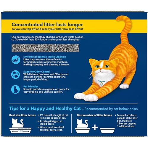 Fresh Step Outstretch, Clumping Cat Litter, Advanced, Extra Large, 32 Pounds total (2 Pack of 16lb Boxes)-UPStoxs