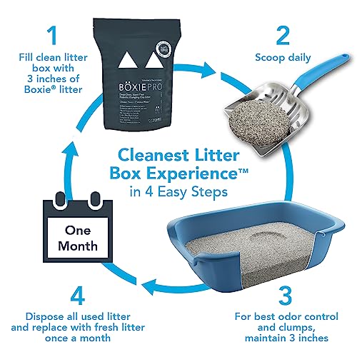 Boxie® Probiotic 40 Day Natural Odor Control Cat Litter, 28lb Clumping Clay Kitty Litter-UPStoxs