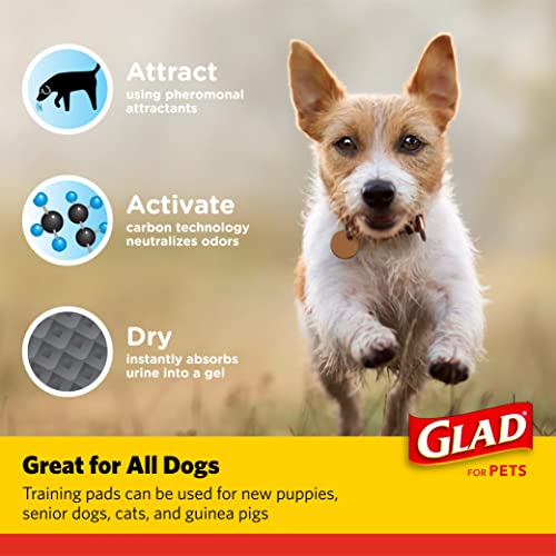 Glad for Pets Black Charcoal Puppy Pads - Super Absorbent Disposable Dog Pee Pads, Potty Training Pads, and Pet Supplies - Dog Pee Pads for Crate Training and Indoor Use 23" x 23" - 100 Count-UPStoxs