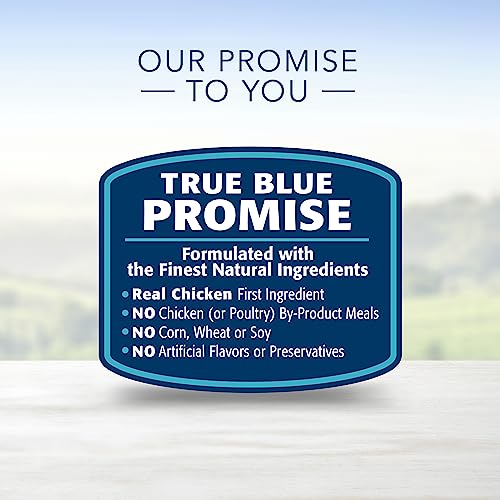 Blue Buffalo Life Protection Formula Adult Dry Dog Food, Helps Build and Maintain Strong Muscles, Made with Natural Ingredients, Chicken & Brown Rice Recipe, 30-lb. Bag-UPStoxs