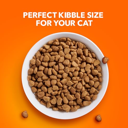 IAMS PROACTIVE HEALTH Adult Indoor Weight Control & Hairball Care Dry Cat Food with Chicken & Turkey Cat Kibble, 7 lb. Bag-UPStoxs