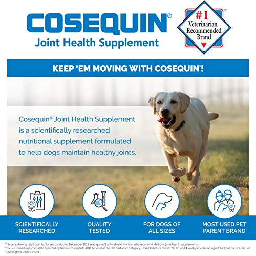 Nutramax Laboratories Cosequin Maximum Strength Joint Health Supplement for Dogs - With Glucosamine, Chondroitin, and MSM, 60 Chewable Tablets-UPStoxs