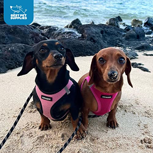 Voyager Step-in Air Dog Harness - All Weather Mesh Step in Vest Harness for Small and Medium Dogs and Cats by Best Pet Supplies - Harness (Fuchsia), S (Chest: 14.5-16")-UPStoxs